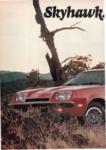Buick 1974 9-3.jpg